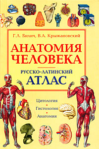 �������� ��������. ������-��������� �����. ���������. ����������. ��������