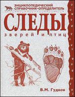 ����� ������ � ����. ����������������� ����������-������������