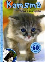 Котята. Мои любимые животные (фотографии и рисунки)