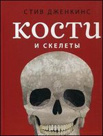 Кости и скелеты