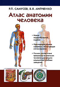 Атлас анатомии человека: Учебное пособие для ссузов - 7-е издание