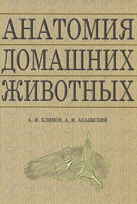 Анатомия домашних животных - 8-е издание
