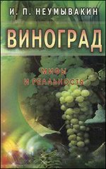 ��������. ���� � ����������