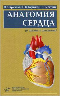 �������� ������ (� ������ � ��������)