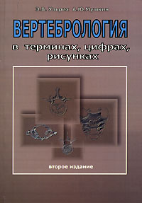 ������������� � ��������, ������, ��������