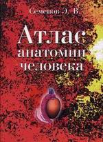 Атлас анатомии человека: Том 3
