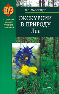 Экскурсии в природу. Лес