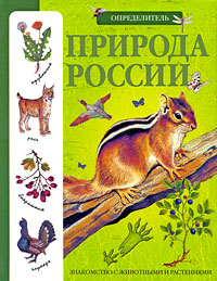 ������� ������: ������������