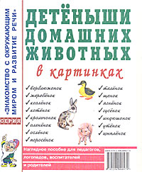 �������� �������� �������� � ���������: ��������� ������� ��� ���������, ���������, ������������ � ���������