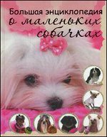 ������� ������������ � ��������� ��������