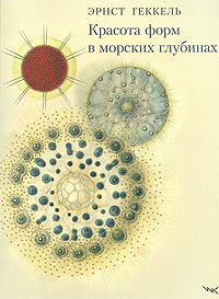 ������� ���� � ������� ��������