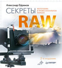 ������� RAW. ������������ �������