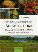 ������������� �������� � ����� ������� ������ ������. ������ �����-������������